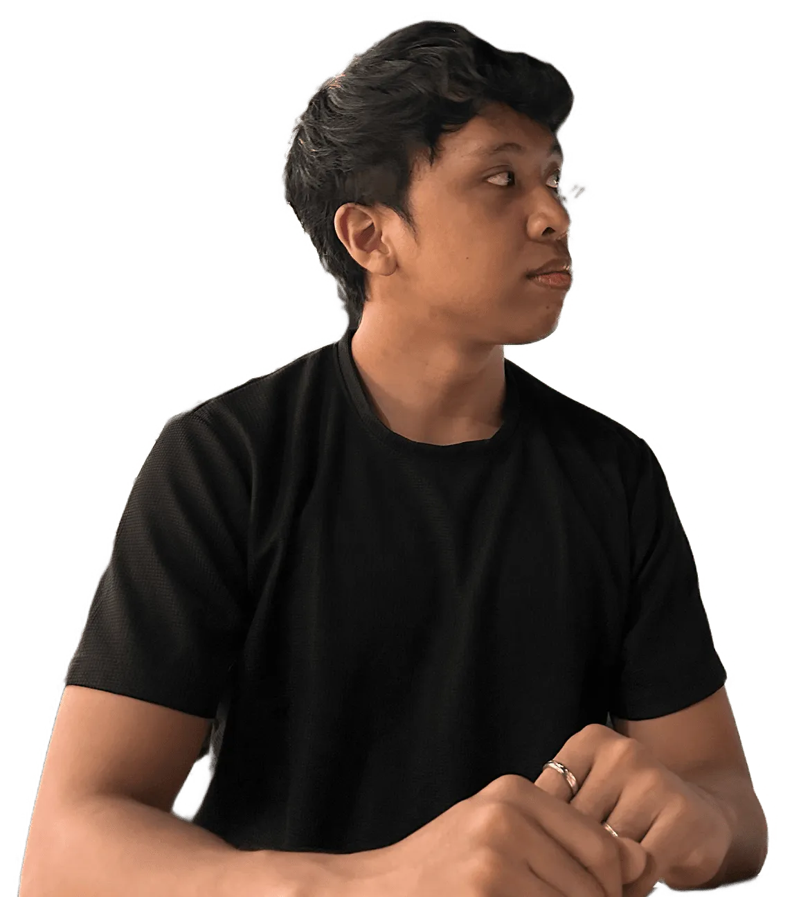 The developer
